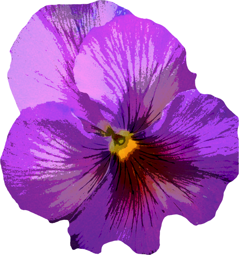 Illustration of a Flower