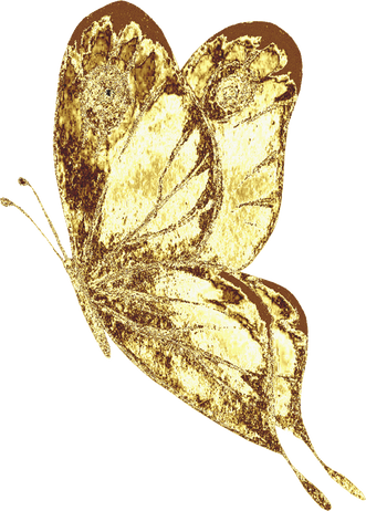 Golden colored butterfly